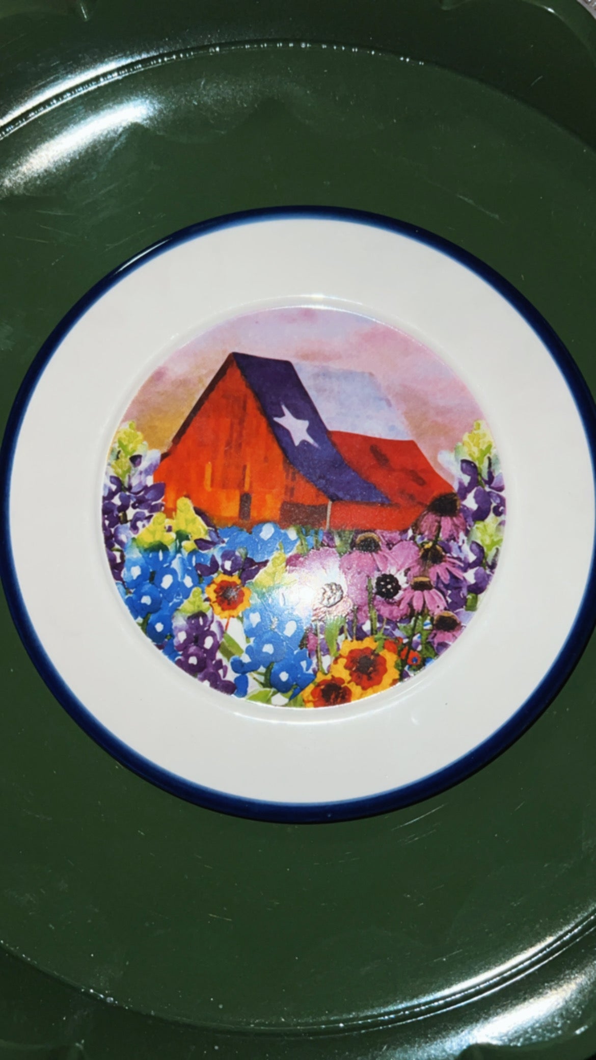 Take Me To Texas Vintage Plate
