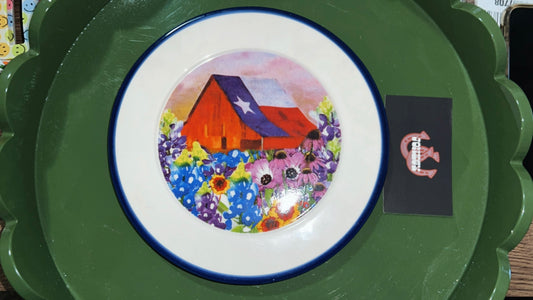 Take Me To Texas Vintage Plate