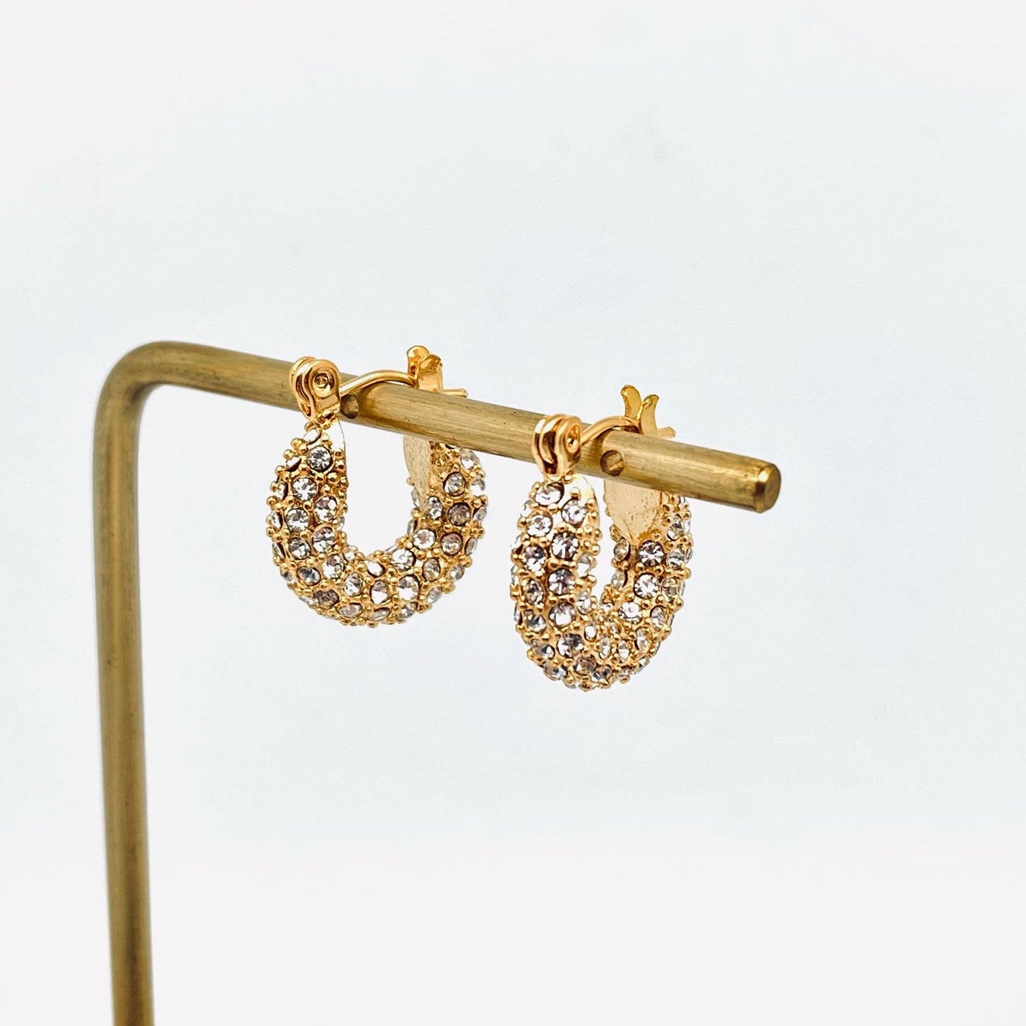 Sparkling 18K Gold Plated Stainless Steel Hoop Earrings -FGS